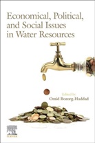 Omid (EDT) Bozorg-Haddad, Omid Bozorg-Haddad, Omid (Department of Irrigation and Reclamation Engineering Bozorg-Haddad - Economical, Political, and Social Issues in Water Resources