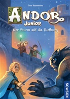 Jens Baumeister, Michael Menzel - Andor Junior, 2, Der Sturm auf die Rietburg