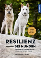 Vanessa Engelstädter - Resilienz bei Hunden