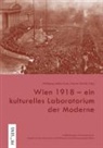 Wolfgan Müller-Funk, Wolfgang Müller-Funk, SEIDLER, Seidler, Andrea Seidler - Wien 1918 - ein kulturelles Laboratorium der Moderne