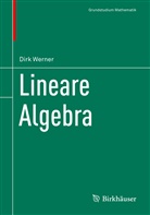 Dirk Werner - Lineare Algebra