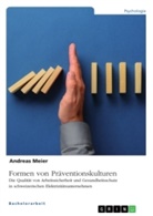 Andreas Meier - Formen von Präventionskulturen. Die Qualität von Arbeitssicherheit und Gesundheitsschutz in schweizerischen Elektrizitätsunternehmen