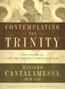 Raniero Cantalamessa - Contemplating the Trinity