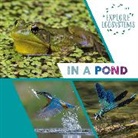 Sarah Ridley, Ridley Sarah, SARAH RIDLEY - Explore Ecosystems: In a Pond