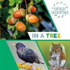 Sarah Ridley, Ridley Sarah, SARAH RIDLEY - Explore Ecosystems: In a Tree