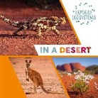 Sarah Ridley, Ridley Sarah, SARAH RIDLEY - Explore Ecosystems: In a Desert