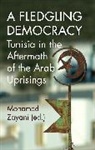 Mohamed Zayani, Zayani Mohamed - A Fledgling Democracy