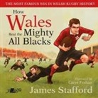 James Stafford, Carys Feehan - How Wales Beat the Mighty All Blacks