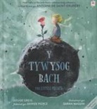Louise Greig, Antoine De Saint-Exupery, Sarah Massini - Y Tywysog Bach / The Little Prince