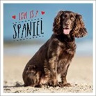 Charlie Ellis, Ellis Charlie - Love is a Spaniel