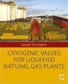 Karan Sotoodeh, Karan (Senior Lead Engineer Sotoodeh - Cryogenic Valves for Liquefied Natural Gas Plants