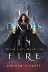 Andrew Shvarts - It Ends in Fire