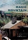 Robert McLaughlin - Magic Mountain