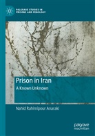 Nahid Rahimipour Anaraki - Prison in Iran