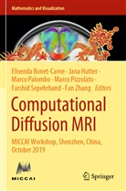 Elisenda Bonet-Carne, Jan Hutter, Jana Hutter, Marco Palombo, Marco Palombo et al, Marco Pizzolato... - Computational Diffusion MRI