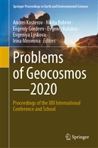 Nikita Bobrov, Nikita Yu. Bobrov, Evgeniy Gordeev, Evgeniy Gordeev et al, Andrei Kosterov, Evgeniy Kulakov... - Problems of Geocosmos-2020