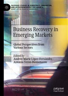 Andrée Marie López-Fernández, André Marie López-Fernández, Andrée Marie López-Fernández, Terán-Bustamante, Terán-Bustamante, Antonia Terán-Bustamante - Business Recovery in Emerging Markets