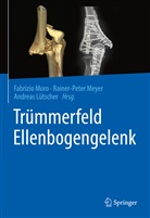 Moro, Andreas Lütscher, Rainer-Pete Meyer, Rainer-Peter Meyer, Fabrizio Moro - Trümmerfeld Ellenbogengelenk
