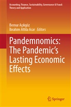 Bernur Aç¿kgöz, ¿brahim Attila Acar, Ibrahim Attila Acar, Bernu Açikgöz, Bernur Açikgöz, Attila Acar... - Pandemnomics: The Pandemic's Lasting Economic Effects