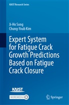 Chung-Youb Kim, Ji-Ho Song - Expert System for Fatigue Crack Growth Predictions Based on Fatigue Crack Closure