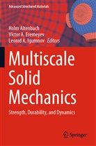 Victo A Eremeyev, Victor A Eremeyev, Leonid A Igumnov, Holm Altenbach, Victor A. Eremeyev, Leonid A. Igumnov - Multiscale Solid Mechanics