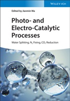 Jianmin Ma, Jianmi Ma, Jianmin Ma - Photo- and Electro-Catalytic Processes