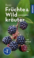 Eva-Maria Dreyer - BASIC Früchte und Wildkräuter