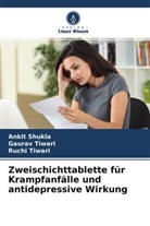 Anki Shukla, Ankit Shukla, Gaura Tiwari, Gaurav Tiwari, Ruchi Tiwari - Zweischichttablette für Krampfanfälle und antidepressive Wirkung