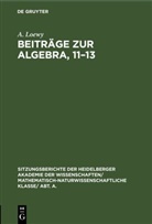 A. Loewy - Beiträge zur Algebra, 11-13
