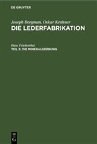 Joseph Borgman, Hans Friedenthal, Oskar Krahner - Joseph Borgman; Oskar Krahner: Die Lederfabrikation - Teil 5: Die Mineralgerbung
