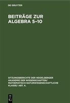 R. Baer, H. Kapferer, Wolfgang Krull, F. K. Schmidt - Beiträge zur Algebra 5-10