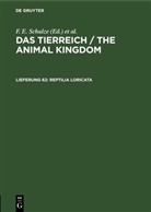 Deutsche Zoologische Gesellschaft, Maximilian Fischer, K. Heidel, R. Hesse, W. Kükenthal, MERTENS... - Das Tierreich / The Animal Kingdom - Lieferung 62: Reptilia Loricata