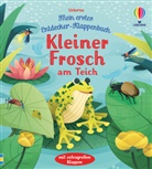 Anna Milbourne, Rossella Trionfetti - Mein erstes Entdecker-Klappenbuch: Kleiner Frosch am Teich