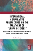 Lu Xiaocheng - INTERNATIONAL COMPARATIVE PERSPECT