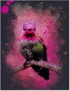 Vögel auf Instagram Großes Notizheft Motiv Rosa Annakolibri