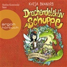 Katja Brandis, Stefan Kaminski - Drachendetektiv Schuppe - Chaos im Zauberwald, 2 Audio-CD (Hörbuch)