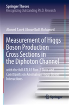 Ahmed Tarek Abouelfadl Mohamed - Measurement of Higgs Boson Production Cross Sections in the Diphoton Channel