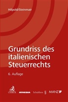 Pete Hilpold, Peter Hilpold, Walter Steinmair - Grundriss des italienischen Steuerrechts
