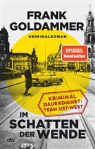 Frank Goldammer - Im Schatten der Wende