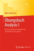 Hebestreit, Niklas Hebestreit - Übungsbuch Analysis I
