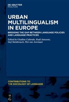 Piet van Avermaet, Giuditta Caliendo, Rud Janssens, Rudi Janssens, Stef Slembrouck, Stef Slembrouck et al... - Urban Multilingualism in Europe