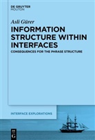 Asli Gürer - Information Structure Within Interfaces