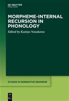 Kuniy Nasukawa, Kuniya Nasukawa - Morpheme-internal Recursion in Phonology
