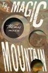 Thomas Mann - The Magic Mountain