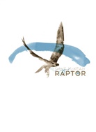 Dave McKean - Raptor