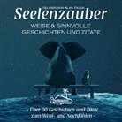 Alan Fields, Ohrinsel - Seelenzauber, Audio-CD (Audiolibro)