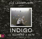 Clemens J Setz, Clemens J. Setz, Ole Lagerpusch - Indigo, 2 Audio-CD, 2 MP3 (Hörbuch)