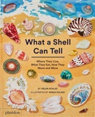 Sonia Pulido, Helen Scales - What a Shell can tell : where they live, what they eat, how they move and more