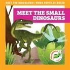 Rebecca Donnelly, Alan Brown - Meet the Small Dinosaurs