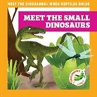 Rebecca Donnelly, Alan Brown - Meet the Small Dinosaurs